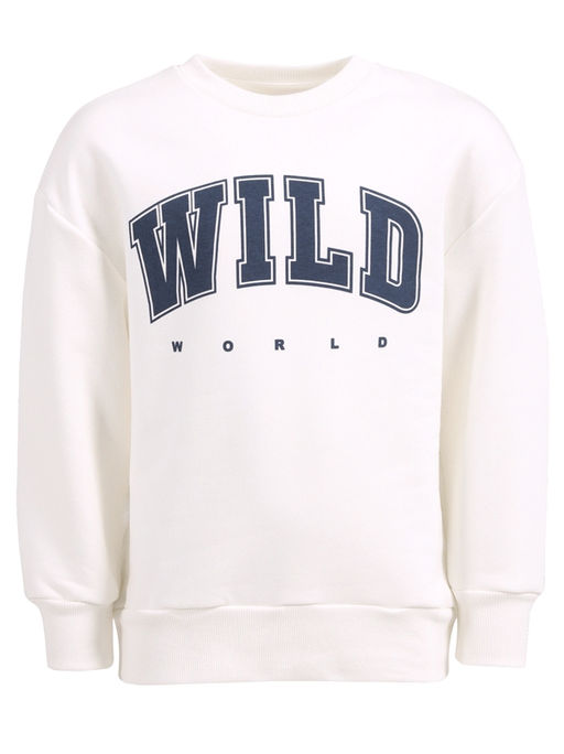 Свитшот 1ПДСД3977335