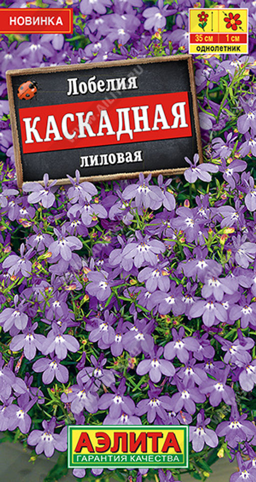 Лобелия каскадная лиловая