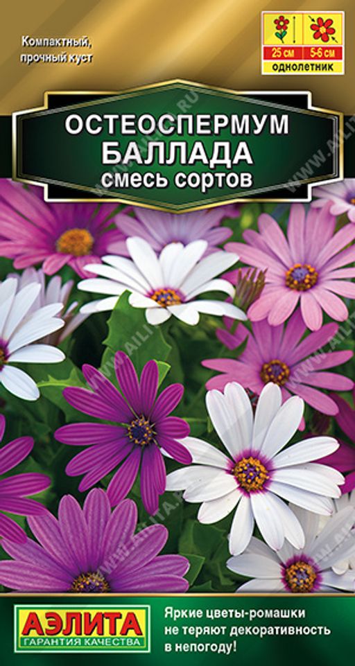 Остеоспермум Баллада,смесь сортов