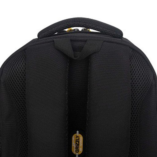 RAz-587-17 Рюкзак школьный - Grizzly фото 8