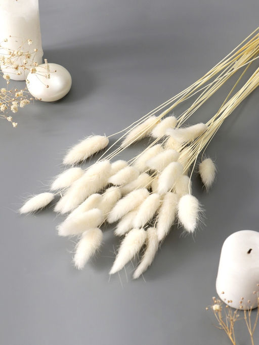 Цена за 2 шт. Декор сухоцвет Лагурус, 55 см, набор 30 шт., белый