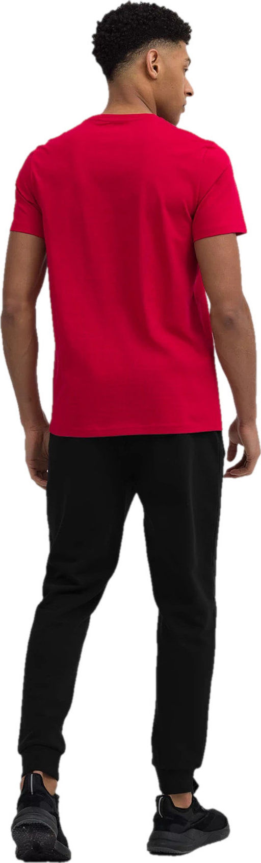 Футболка мужская