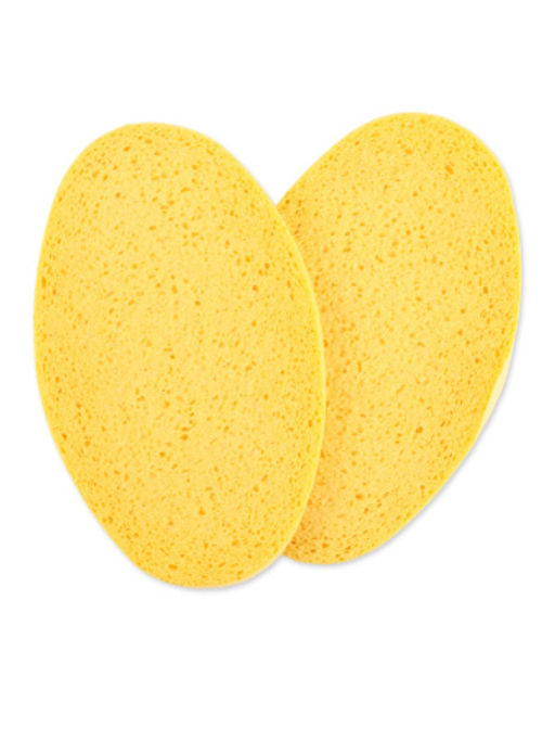 Губка ABSORB+ ECO 2шт 11х19см