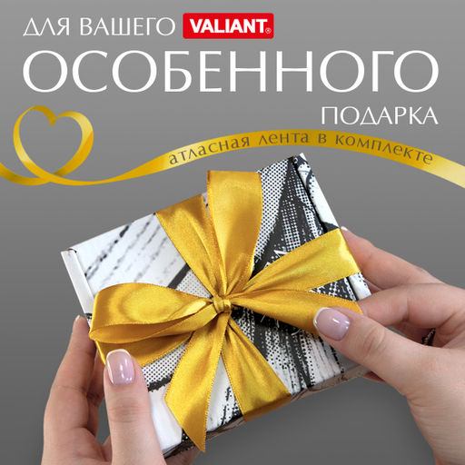 VAL CH-BC-GBb Подарочная коробка 26*26,5*10 см., 1шт. CHIC, шт - Valiant фото 8