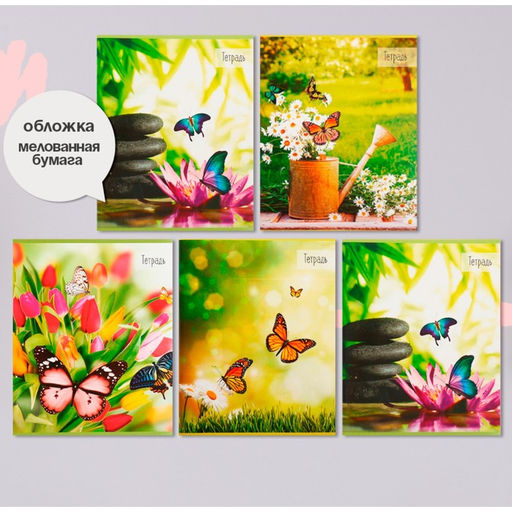 Набор тетрадей 36 листов в клетку, Calligrata «Бабочки», серые листы, 5 штук