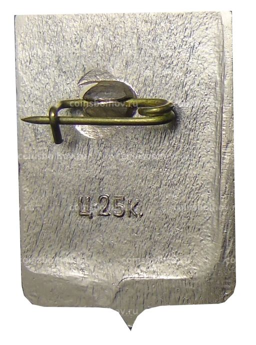 Значок Боровичи