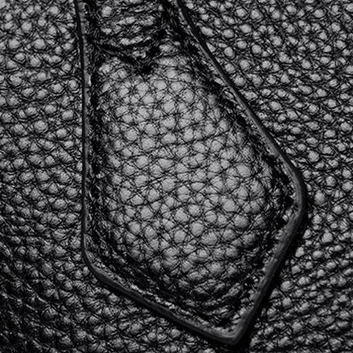 Bags Сумка женская / кожа / 0388152  фото 12