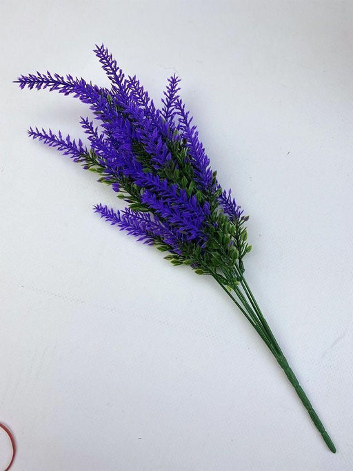 Лаванда 5, 35 см, декоративное растение