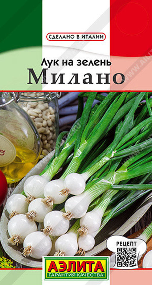 0553A Лук на зелень Милано 0,5гр