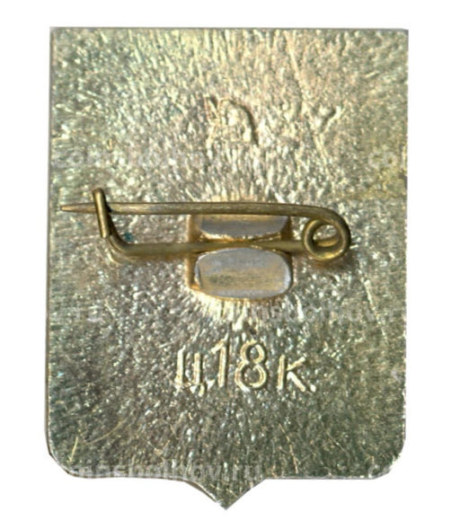 Значок Нежин