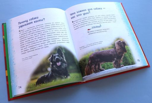 Миллион вопросов о животных, обо мне и мире вокруг и самых разных любопытных вещах