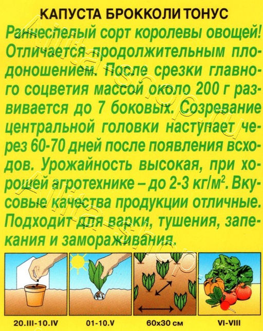 Капуста брокколи Тонус 0,3г (Аэлита)