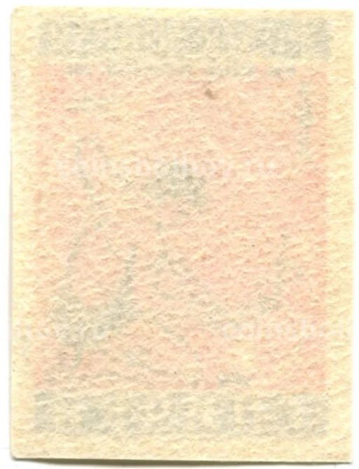 Этикетка спичечная Родословная спички №5 фабрика Победа