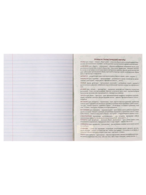 Цена за 5 шт. Предметная тетрадь по литературе Calligrata TOP «Аниме», 48 листов, в линейку, со справочным материалом, обложка из мелованного картона, блок офсет