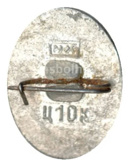 Значок Ростов на Дону интурист