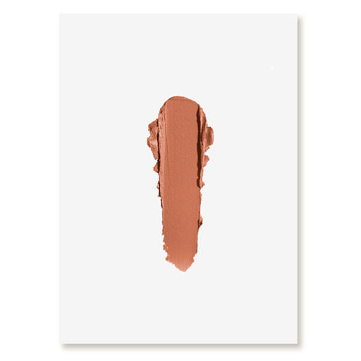 Матовая помада для губ Velvet Matt Lipstick Deseo, 451 Бежевый 1867N11845