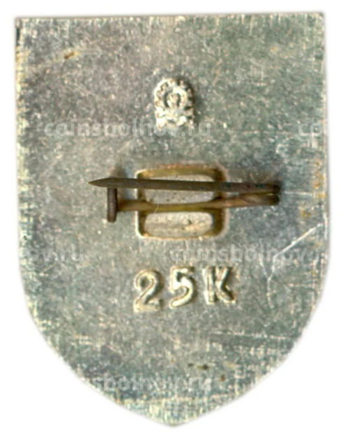 Значок Усолье-Сибирское