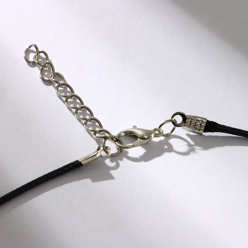 Кулон «Коготь орла», белый в серебре на чёрном шнурке, 45 см