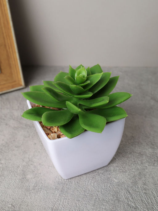 Цветочная композиция Кактус 8-12 см / KL-06 /уп 12/288/ - ГалеонТрейд фото 3