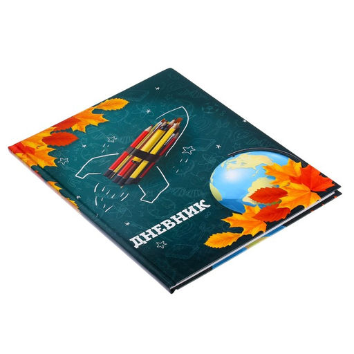 Дневник школьный для 1-11 классов, Школа, твёрдая обложка 7БЦ, глянцевая ламинация, 40 листов - Calligrata фото 2