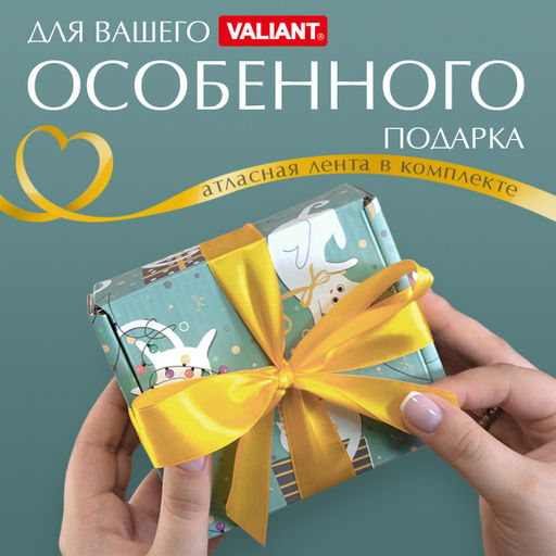 VAL PC-BC-GBk Подарочные коробки - 3шт.: 13*10*4,5, 23*14*7,5, 26*26,5*10см. PARTY CATS, шт - Valiant фото 7