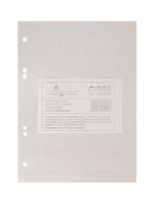 Цена за 4 шт. Сменный блок для тетрадей на кольцах А5, 80 листов в клетку, Calligrata, белый 100%