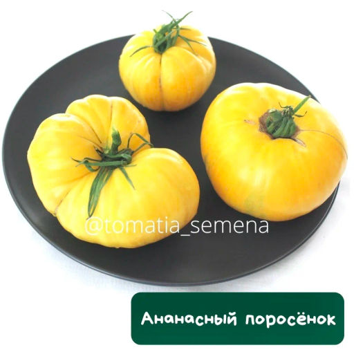 Ананасный поросенок