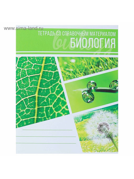 Цена за 4 шт. Тетрадь предметная Коллаж, 48 листов в клетку Биология со справочным материалом, обложка мелованный картон, блок офсет - Calligrata фото 5
