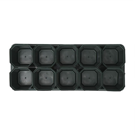 Набор для рассады: стаканы по 300 мл (10 шт.), поддон 41×17 см, цвет МИКС