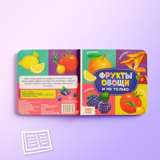 Книги картонные «Знакомимся с окружающим миром», набор 4 шт. по 10 стр.