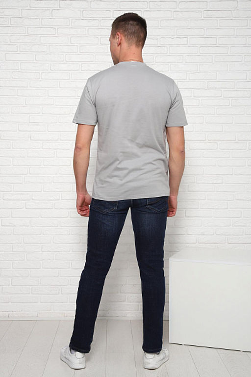 Футболка мужская (01036) - Плиона фото 32