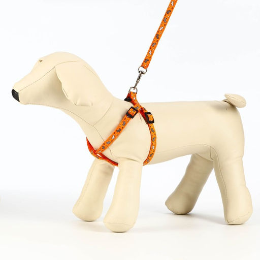 Комплект Собачки, поводок 120 х 1 см, ОГ 23-35 см, оранжевый - Пижон фото 3