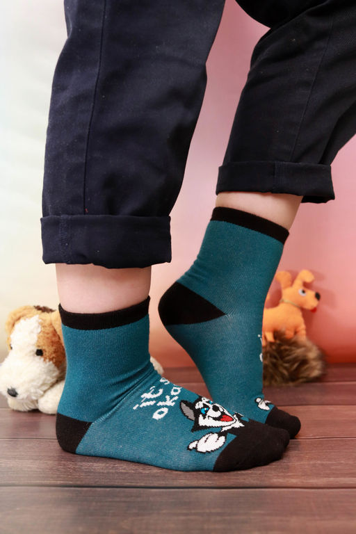 Носки детские Хаски (набор 3 пары)