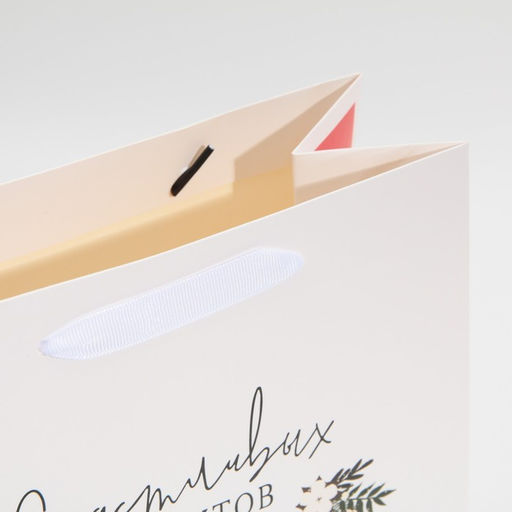 Цена за 2 шт. Пакет подарочный новогодний ламинированный «Счастливых моментов», ML 23 х 27 х 11.5 см