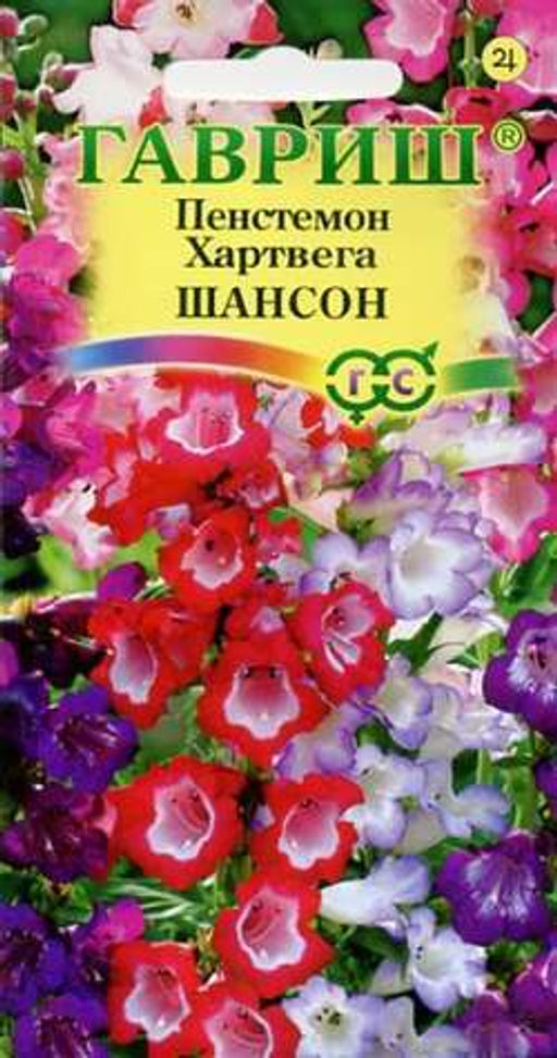 Пенстемон Хартвига Шансон 0,1гр (г)