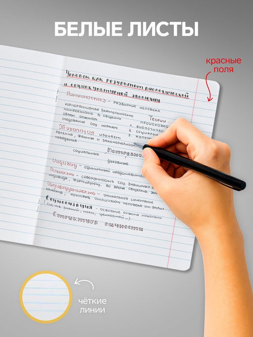 Набор тетрадей, 18 листов в линейку, Calligrata «Однотонная Классика Линовка», 10 штук