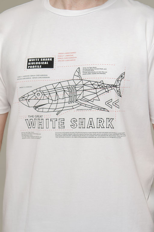 Арт. 67111 Футболка мужская 50-58 (5 шт) Цвет:белый - Идеал фото 6