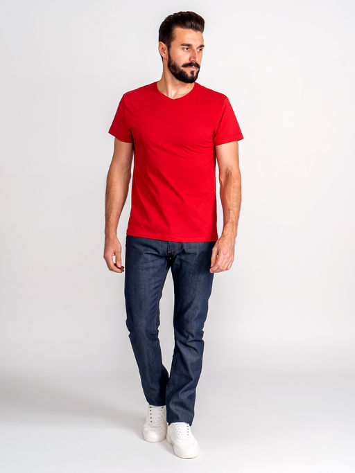 Футболка мужская короткий рукав GREG G146-RD-1056 (красный)  фото 4