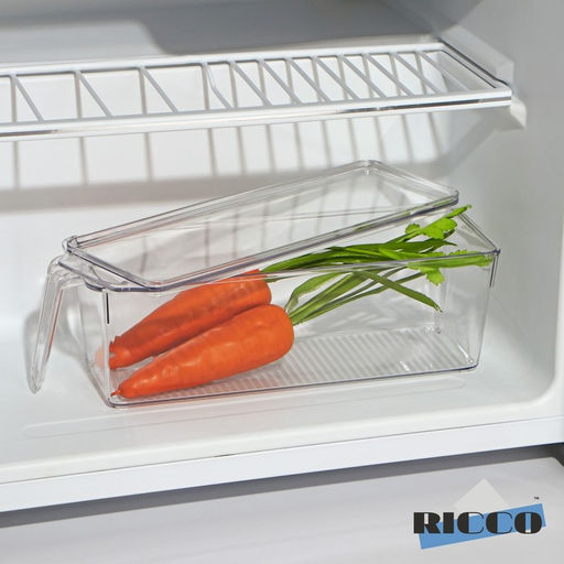 Контейнер для холодильника с крышкой и ручкой RICCO, 32?10?10 см