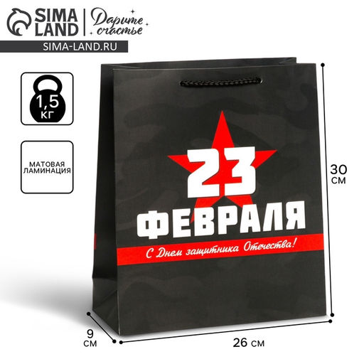Пакет подарочный ламинированный, упаковка, «С 23 февраля», M 26×30×9 см