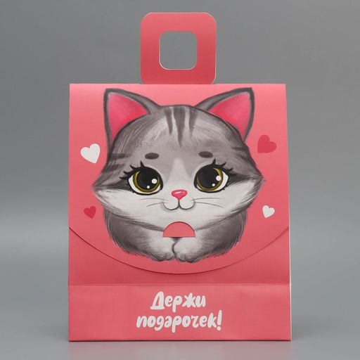 Пакет с формовым клапаном Котик, 23 27 11.5 см - Дарите счастье фото 3