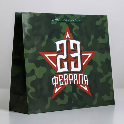 Цена за 2 шт. Пакет подарочный ламинированный, упаковка, «С 23 февраля», ML 25×21×8 см