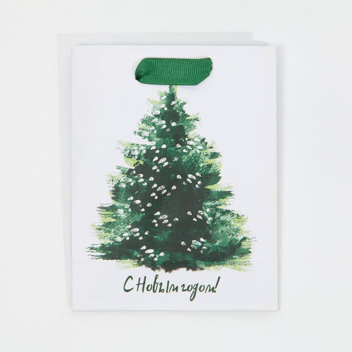 Цена за 2 шт. Пакет подарочный новогодний ламинированный «Морозная свежесть», 12 х 15 х 5.5 см