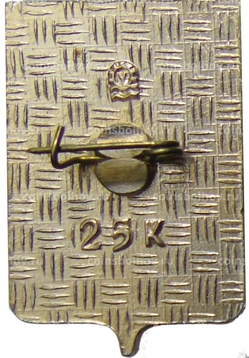 Значок Североморск