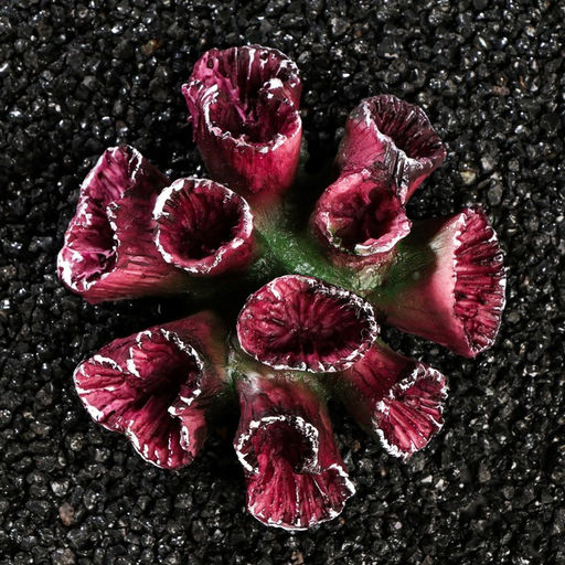 Декор для аквариума Коралл, диаметр 11 см - Simaland фото 3