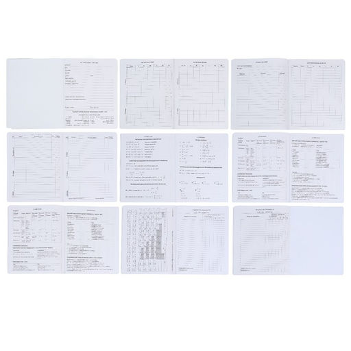 Дневник школьный для 1-11 классов Favorite, мягкая обложка, на кнопке, искусственная кожа, тиснение фольгой, хлястик, ляссе, 48 листов