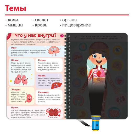 Умная книжка с фонариком Моё тело. Свети и изучай, 30 стр. - Буква-ленд фото 4