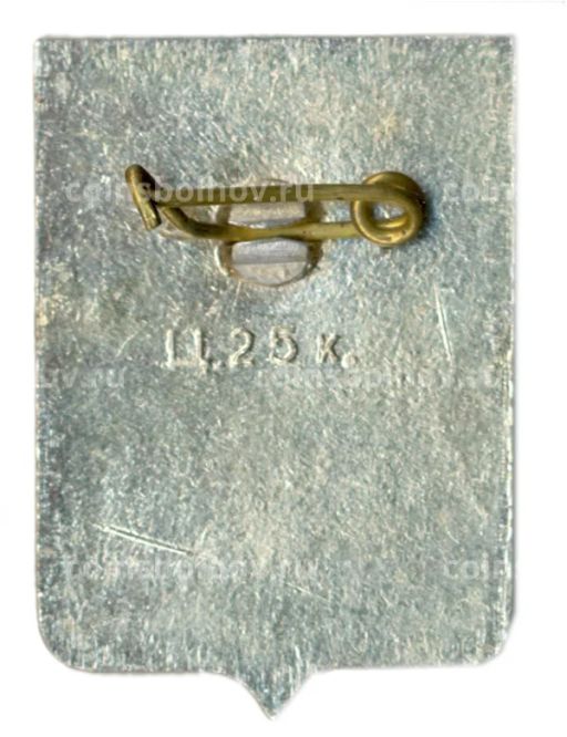 Значок Старая Русса