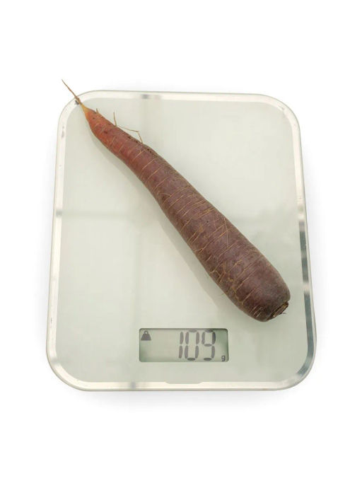 Морковь Пёрпл Сан - Партнер фото 7