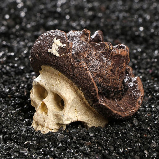 Декор для аквариума Череп, 7 х 7 х 7 см - Simaland фото 4